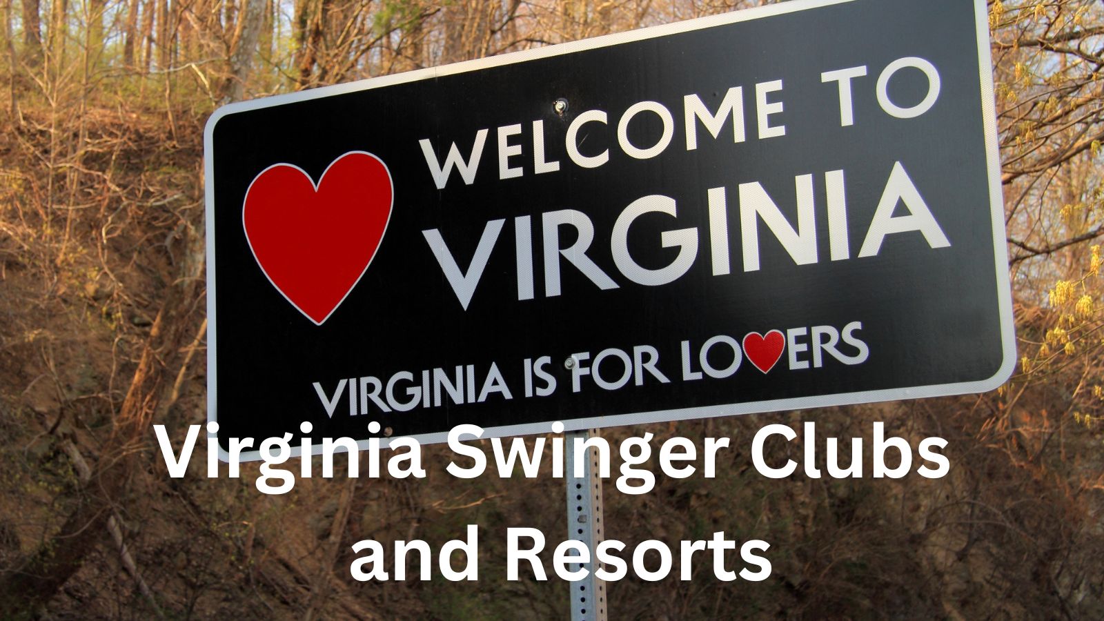 Amateur Swinger Lifestyle: A Beginner's Guide to Swinging Amateur Swinger Lifestyle: A Beginner's Guide to Swinging