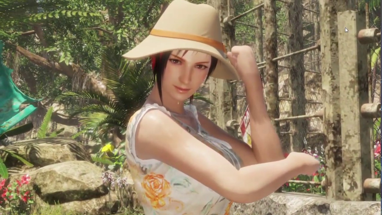 Dead or Alive Porn: Exploring the Controversial Adult Gaming Series