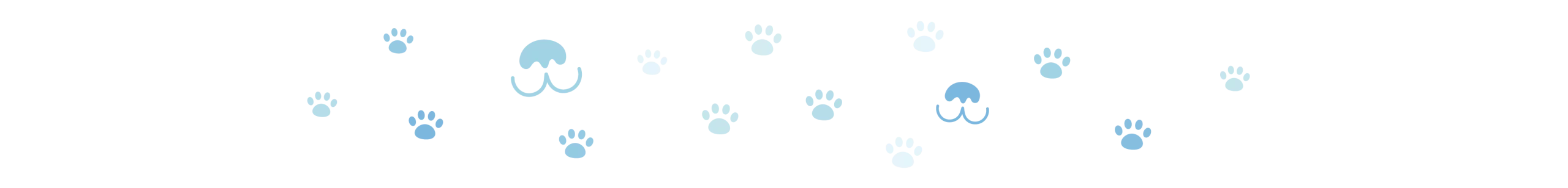 Understanding Your Dog's Normal Breathing Rate and Patterns