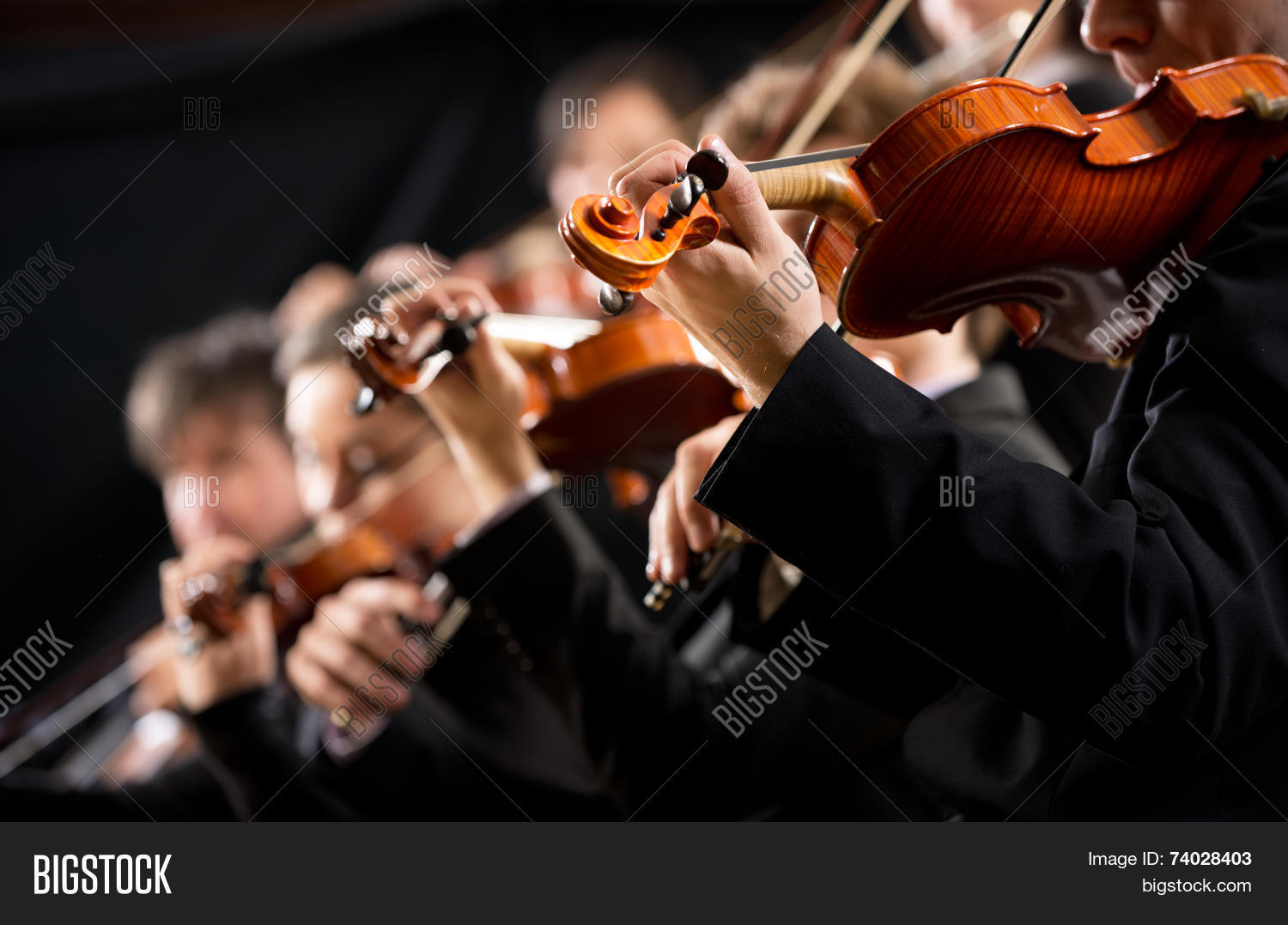 Mastering the Role of First Violin in an Orchestra