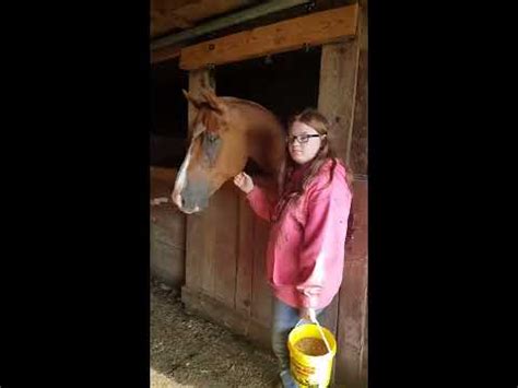 Mastering the Horse Squirt: Tips and Techniques Revealed