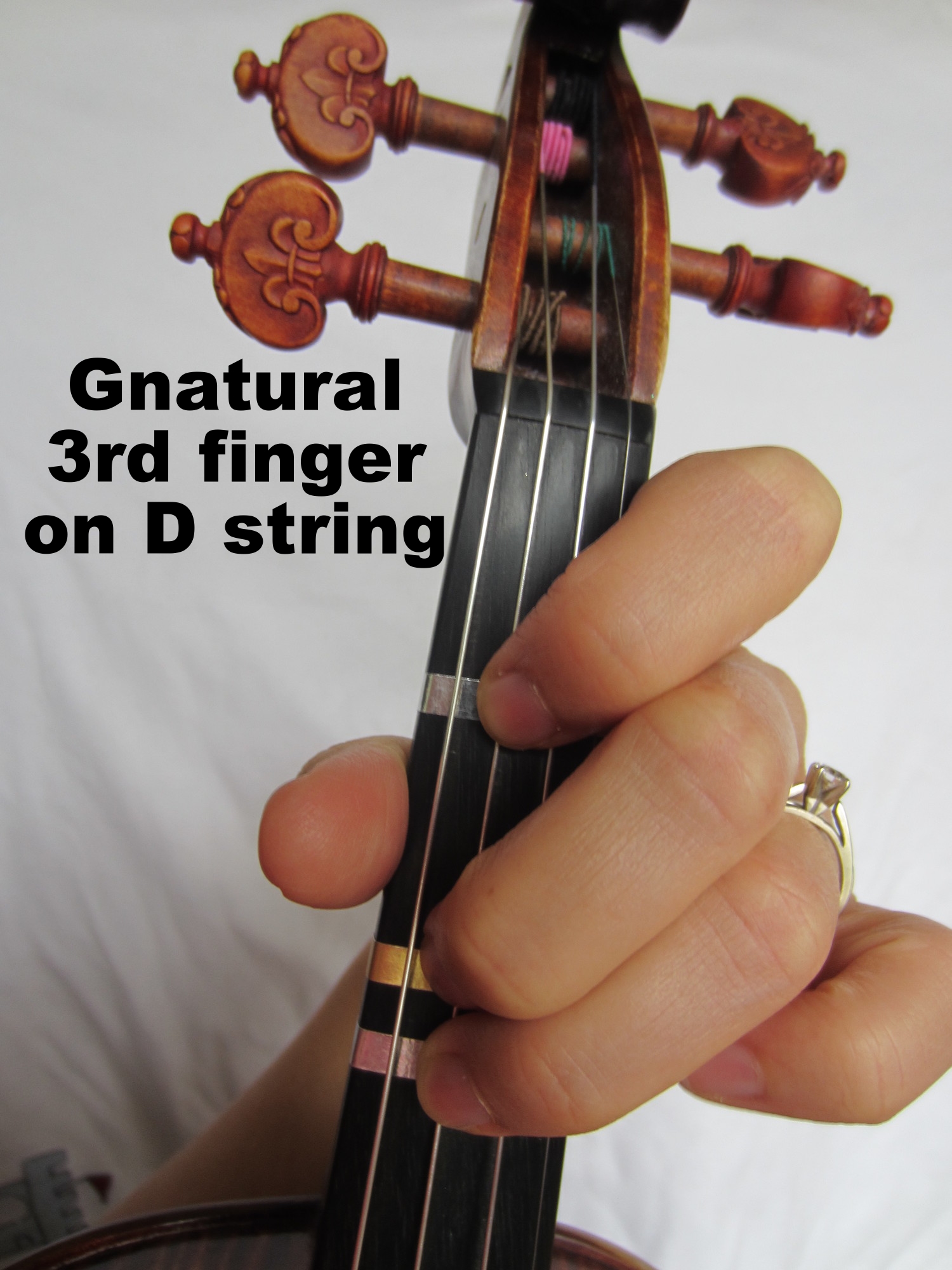 Master Violin Basics: A Beginner's Guide to Playing Violin