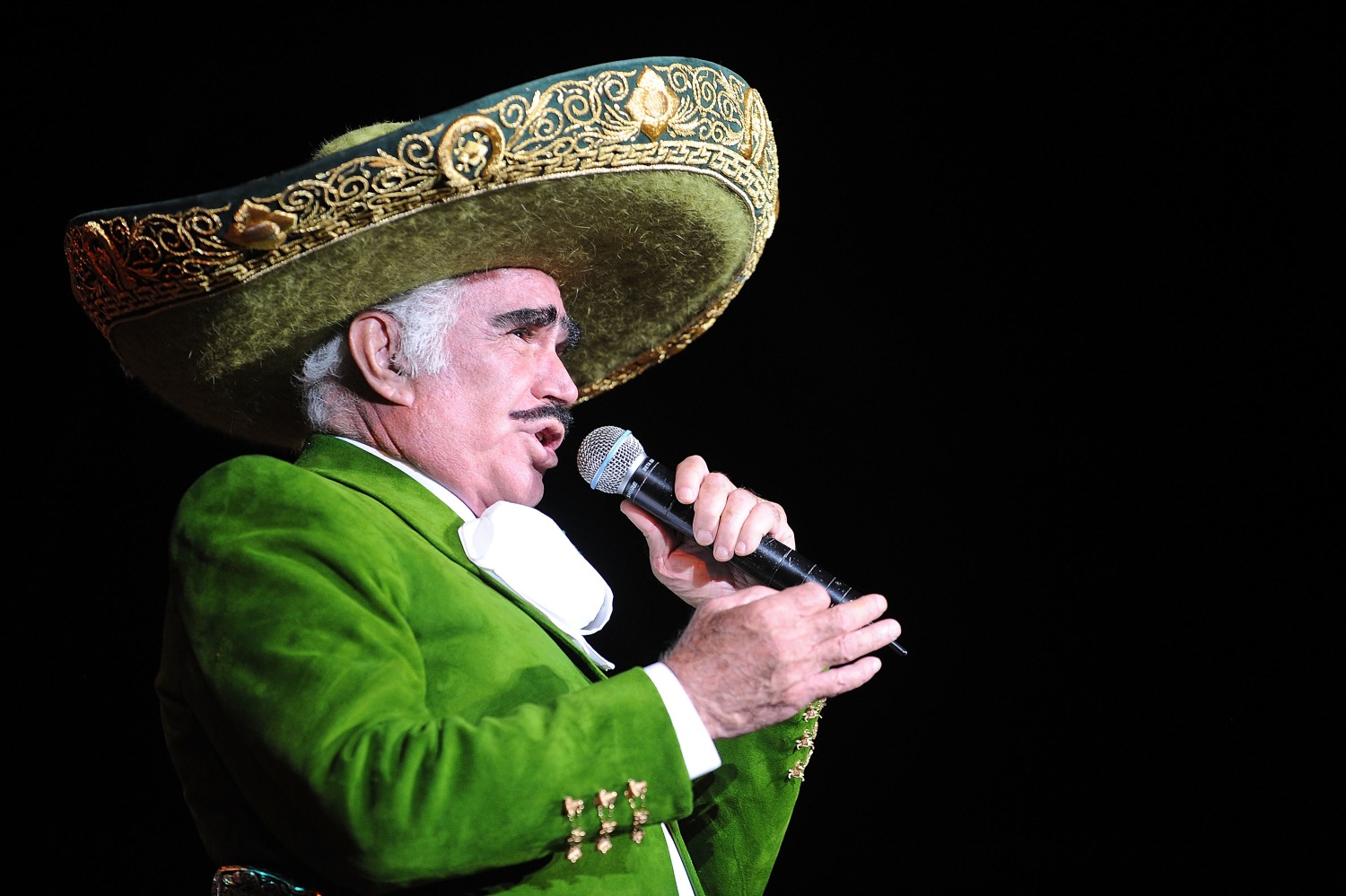Vicente Fernandez Movies: Top Must-Watch Classics Revealed